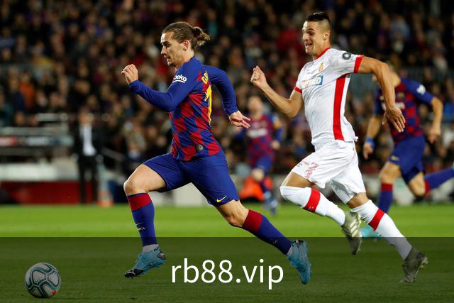 关于rb88.vip